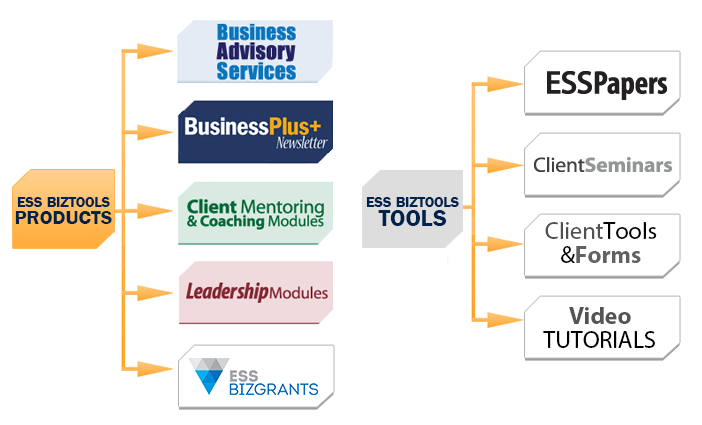 how ess biztools works